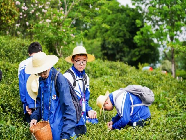 高一内地班研学2025年第二三上传_20250429_091323_181.jpg