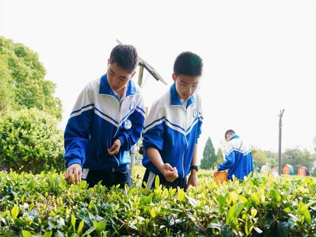 高一内地班研学2025年第二三上传_20250429_091323_183.jpg