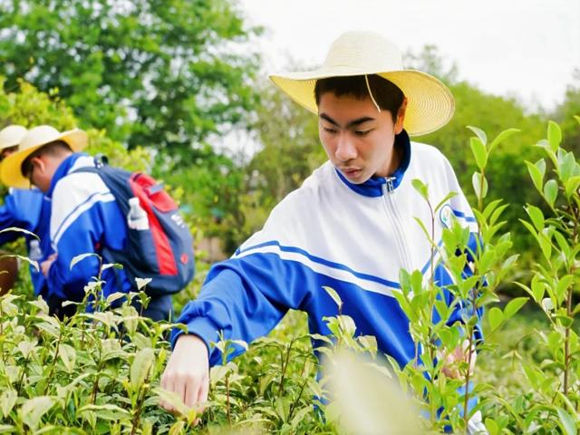 高一内地班研学2025年第二三上传_20250429_091323_180.jpg