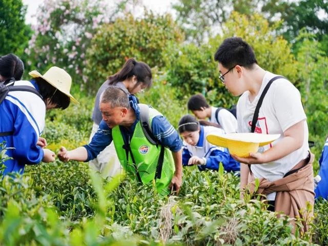 高一内地班研学2025年第二三上传_20250429_091323_179.jpg