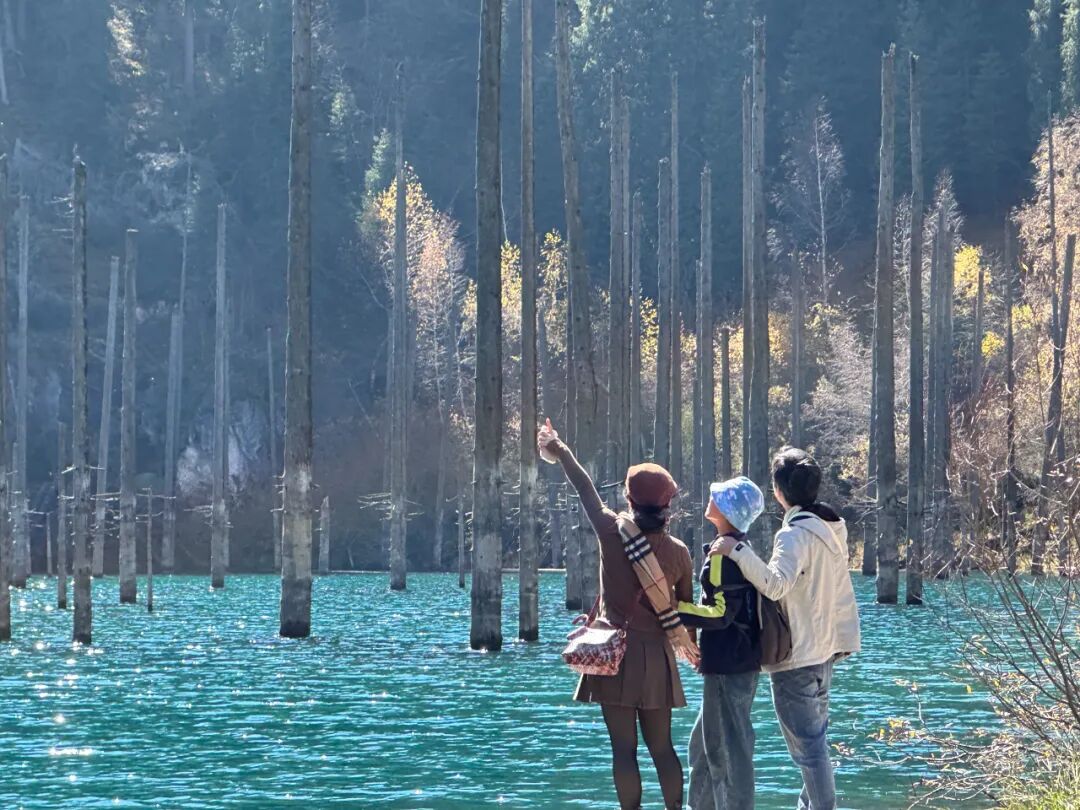 ad5ef21e693a30f8090c496425b820b3