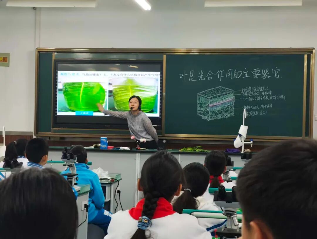 9ef58e56d8fe4d908d47f70301f1b0bd